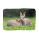 Search for rabbit bath mats Nature