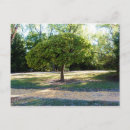 Search for love mother postcards Earth