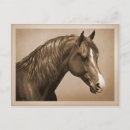 Search for morgan postcards Equestrian