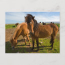 Search for grazing postcards Ranch