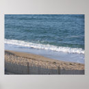 Search for shorelines posters Ocean
