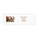 Search for hog return address labels Pigs