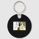Search for owl key rings Funny meowl