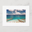 Search for bvi Ocean