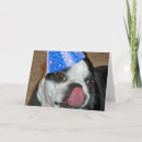 Search for boston terrier birthday Cake