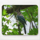 Search for jay mousepads Nature