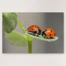 Search for ladybird puzzles Green