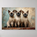 Search for siamese cat art Seal point