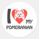 Search for cute fluffy stickers Pomeranian