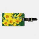 Search for pierre travel accessories Early