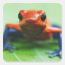 Search for blue frog stickers Animal