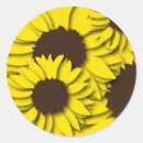 Search for sunflower fields stickers Summer