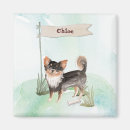 Search for long haired dog magnets Chihuahua