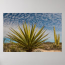 Search for mexican desert posters Mexico
