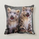 Search for snow leopard cushions Wild cat