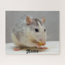 Search for rat puzzles Cute
