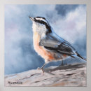 Search for nuthatch Wild bird