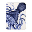 Search for marine life magnets Silly