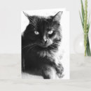 Search for black and white cat face cards Kitten