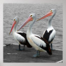 Search for pop of colour posters Black and white