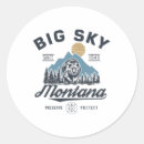 Search for snow ski stickers Carve