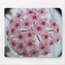Search for vine mousepads Bloom