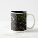 Search for rugby ball mugs Outdoors