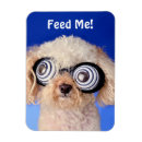 Search for poodle magnets Adorable