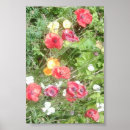 Search for values art Red