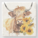 Search for highland cow coasters Sunflowers