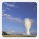 Search for hot springs stickers Yellowstone national park