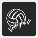 Search for volleyball team stickers Beach