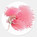 Search for betta fish stickers Fishes