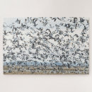 Search for flying geese puzzles Migration