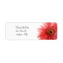 Search for gerber daisy labels Pink