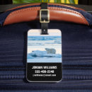 Search for polar bear luggage tags Arctic