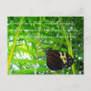 Search for butterfly quotes postcards Beautiful