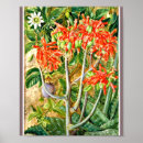 Search for passion posters Flowers