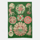 Search for marine tea towels Jellyfish