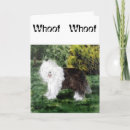Search for sheepdogs cards Old english sheepdog