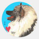 Search for kees Dutch barge dog