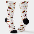 Search for dachshund socks Animal