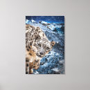 Search for snow leopard canvas prints Big cats