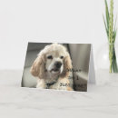 Search for cocker spaniel cards Funny