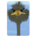 Search for ladybird magnets Animal