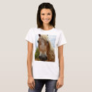 Search for appaloosa tshirts Horse