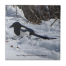 Search for bill tiles Nature