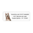 Search for siberian husky dog return address labels Watercolor