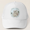 Search for longhair accessories Pets