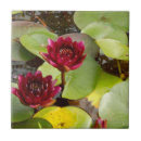 Search for water lily flower tiles Lotus